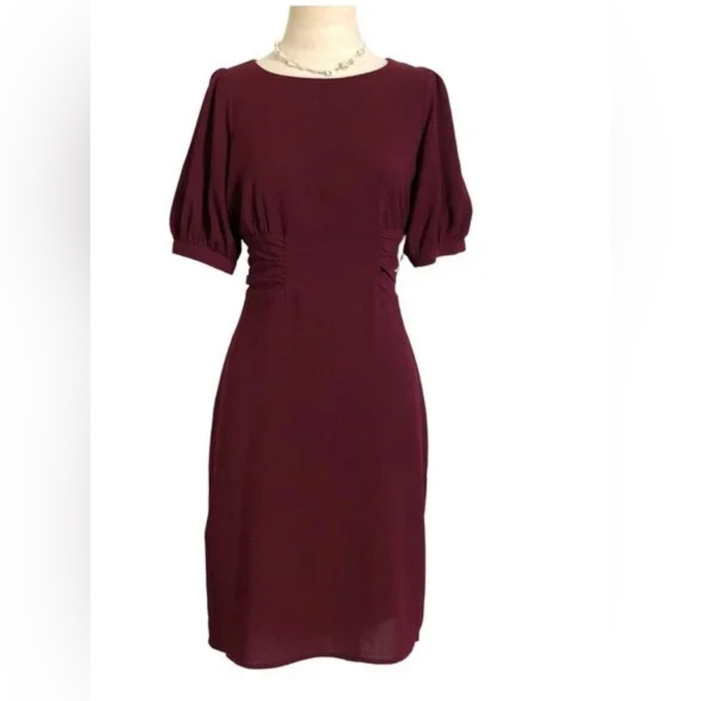 Express Puff sleeve burgundy cinched dress